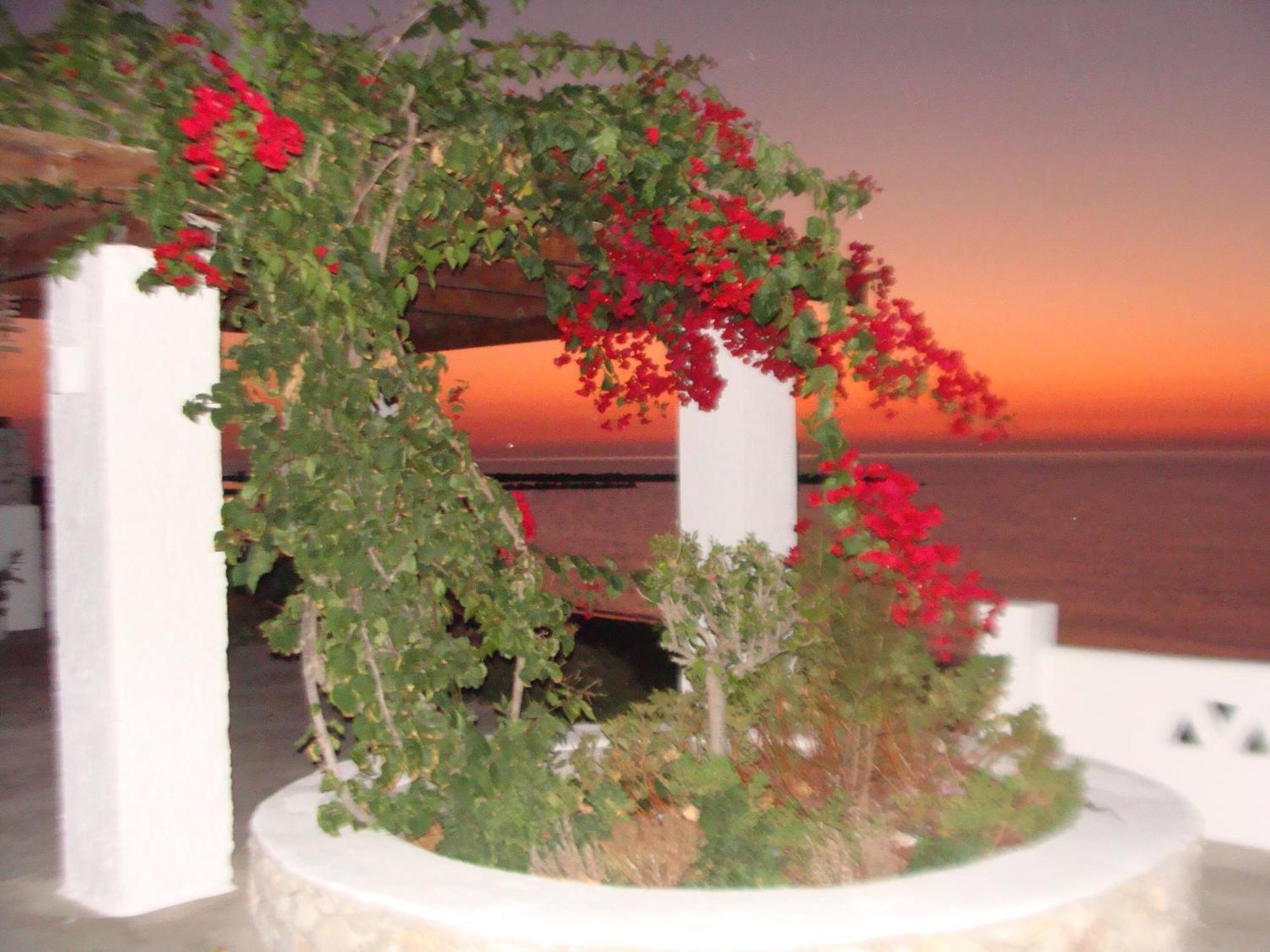 Παραθιν Αλοσ 2 Apartment Skyros Exterior foto